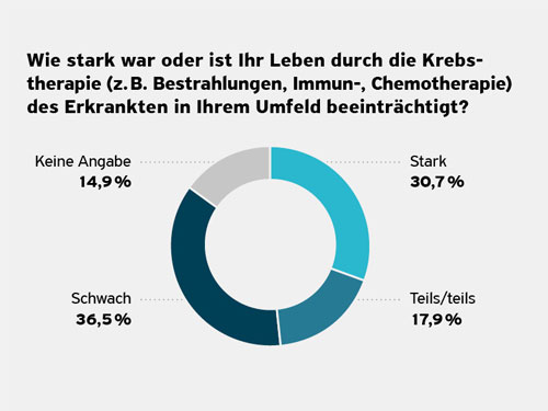 krebs-report-angehoerige-beeintraechtigung